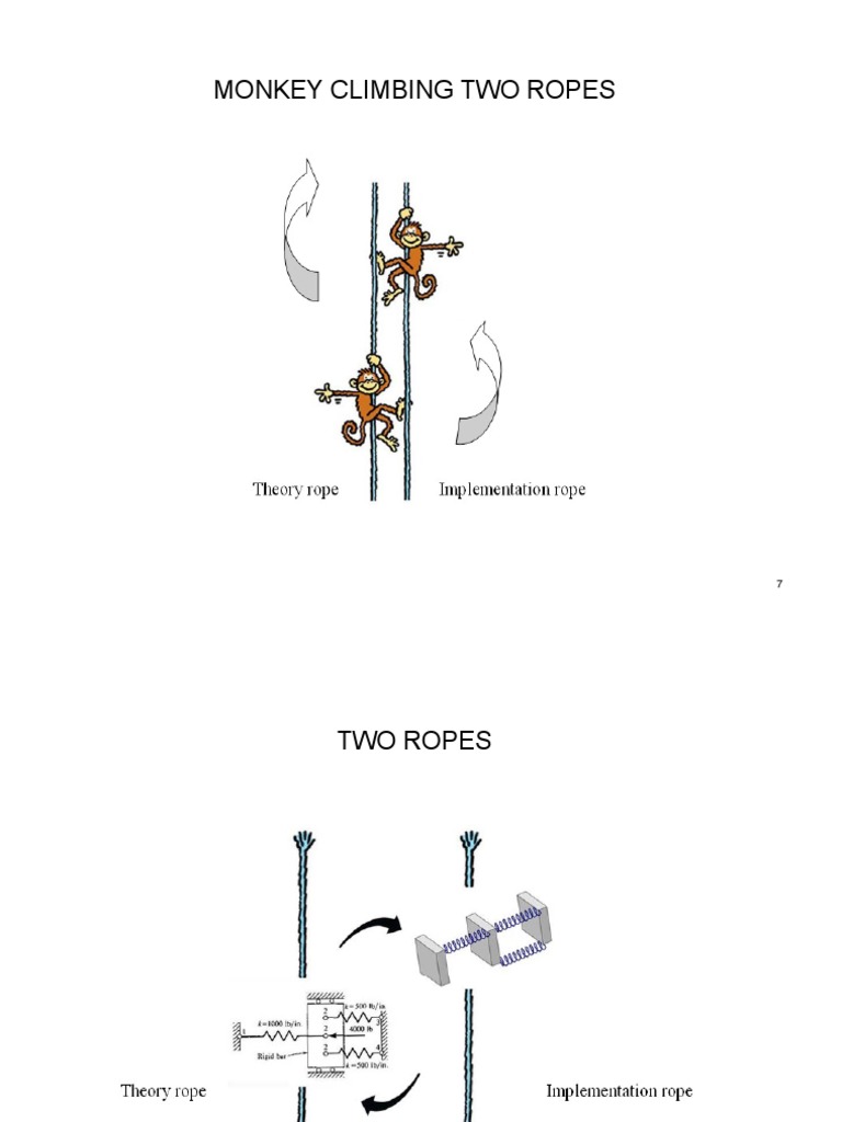 Monkey Climbing Techniques on Two Ropes | PDF