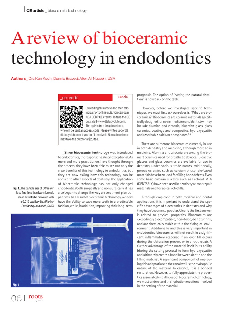ART 56bioceramic Sealer Bioceramic Materials