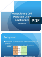 Fall Research Final Presentation