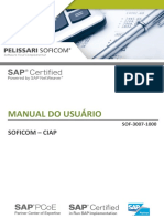 Manual usuário Ciap.pdf