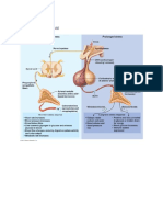 6C Stress Physiological Response