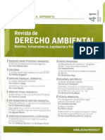 PINTO_MARTIN_ordenamiento Ambiental Dominio Publico