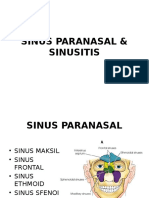 Sinus Paranasal & Sinusitis