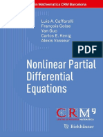 Caffarelli Golse Guo Kenig Vasseur Nonlinear Partial Differential Equations