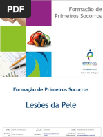 8.Lesoes Da Pele
