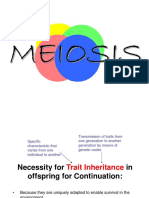 Meiosis: Cell Division