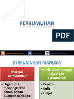 3_PERKUMUHAN