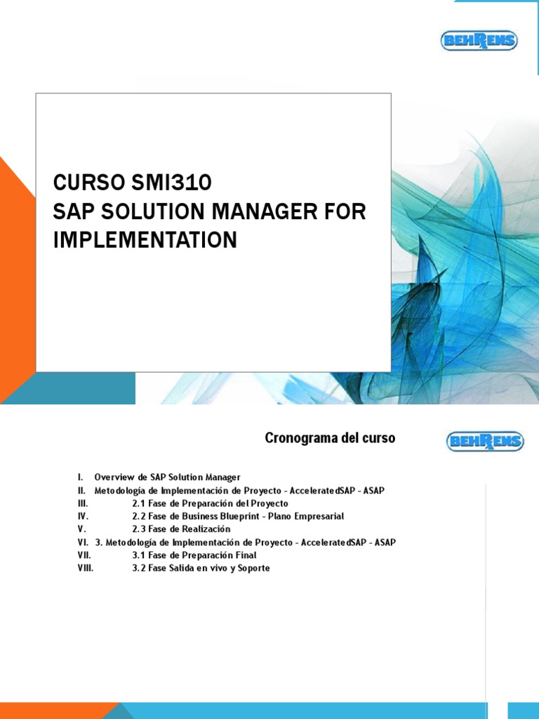 Curso SAP Solution Manager: Implementación | PDF | Liderazgo ...