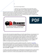 Article   Brangus (4)