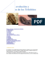 Origen, Evolución y Extinción de Los Trilobites