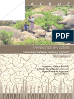 Veracruz en Crisis, Vol. I