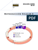 BC07-15 Reproducción Celular I-WEB