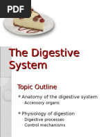 The Digestive System 