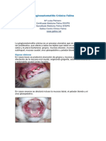 Gingivoestomatitis Cronica Felina