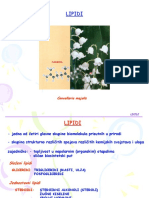 Lipidi PDF