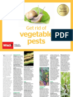 Get Rid of Vegetable Pests Online