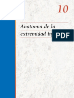 10 - Anatomía de La Extremidad Inferior PDF