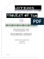 17491278-Project-on-PIA-by-Shehmeen.doc