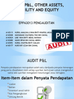 Audit P&L, Other Assets, Liability and