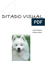 Ditado Visual