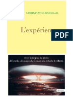 Christophe Bataille - L 39 Exp Rience
