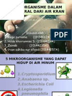 Mikroorganisme Dalam Air Mineral Dari Air Kran