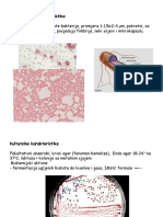 Porodica Enterobacteriaceae I Escherichia Coli