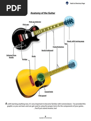 Anatomy of the Guitar