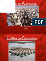 Slides de Algodao 2015-2 Parte I