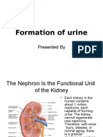 Mechanism of Urine Forming