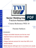 WIS10 Fracture Assessment Report