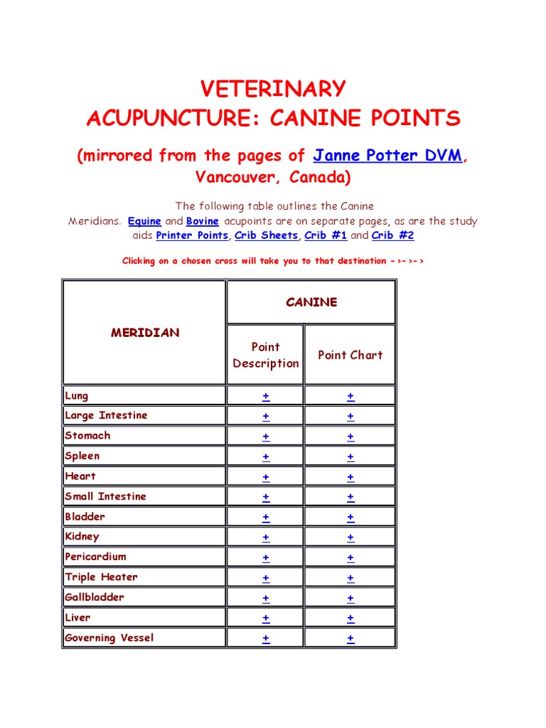 Canine Acupuncture Points Guide | PDF | Anatomical Terms Of Location ...