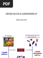 Download degradasi karbohidrat by Muhammad Rizky Ramadhanikusuma SN294565557 doc pdf
