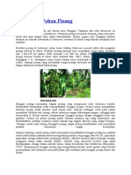 Download Pengertian Pohon Pisang by veronikaalfonspaulus SN294565560 doc pdf