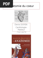 Anatomie Du Coeur