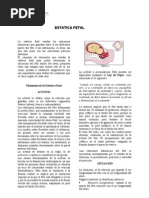 Download estatica fetal  by petc SN2945835 doc pdf