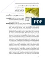 LaCasita PDF