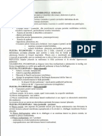 Anatomie Curs Membranele Seroase.pdf