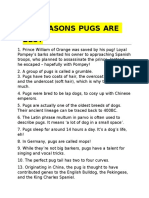 14 Reasons Pugs Are Best