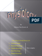 Plasma Membran Potensial