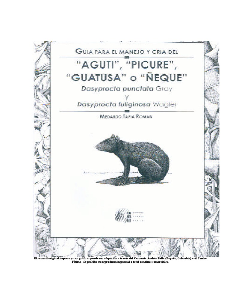 Guatusa: manejo y beneficios económicos | PDF | Carne | Alimentos