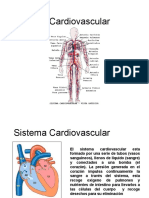 Sistema Cardiovascular