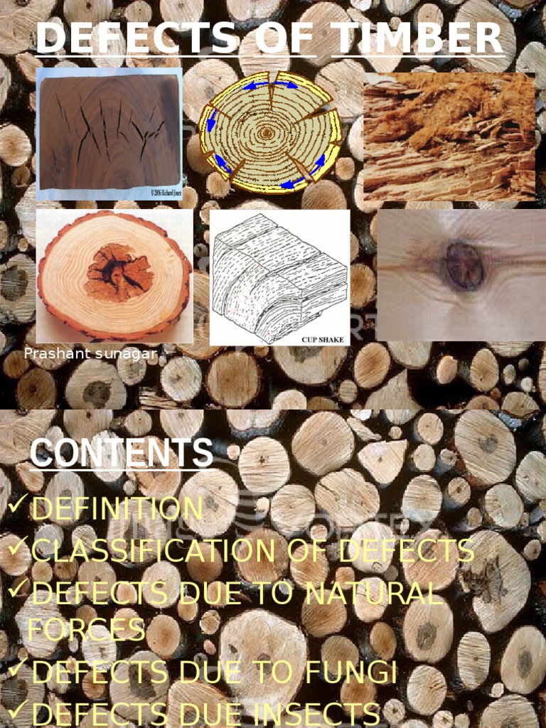 Defects in Timber PDF Wood Lumber