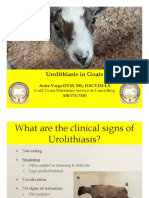 Blocked Goat Urolithiasis Handout
