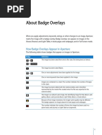 About Badge Overlays