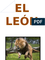 EL LEÓN