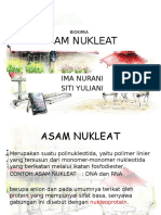 Asam Nukleat