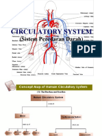 Circulatory System: (Sistem Peredaran Darah)