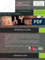 Infecciones DeTransmisión Sexual en El Perú FINAL