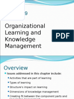 Chapter 9 - Organization Learning